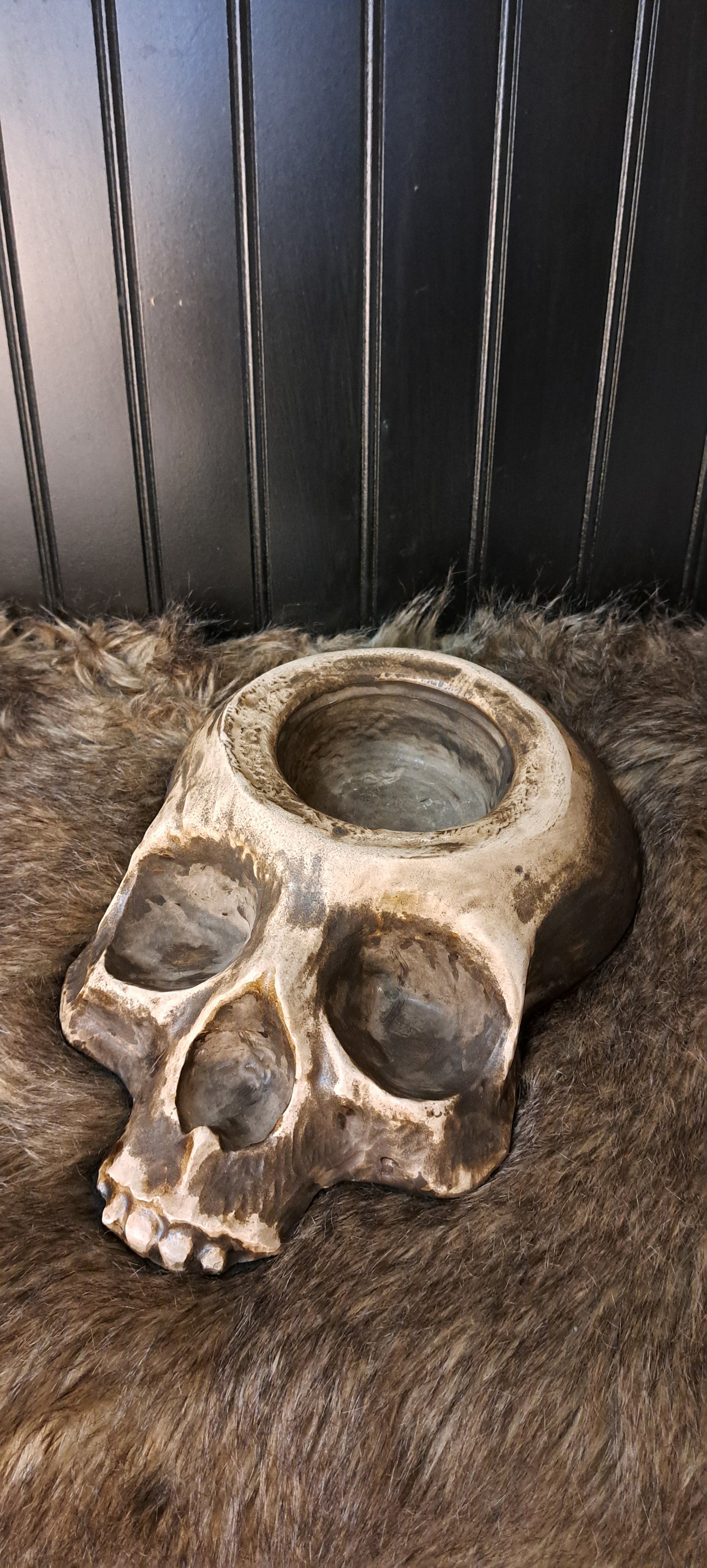 Skull