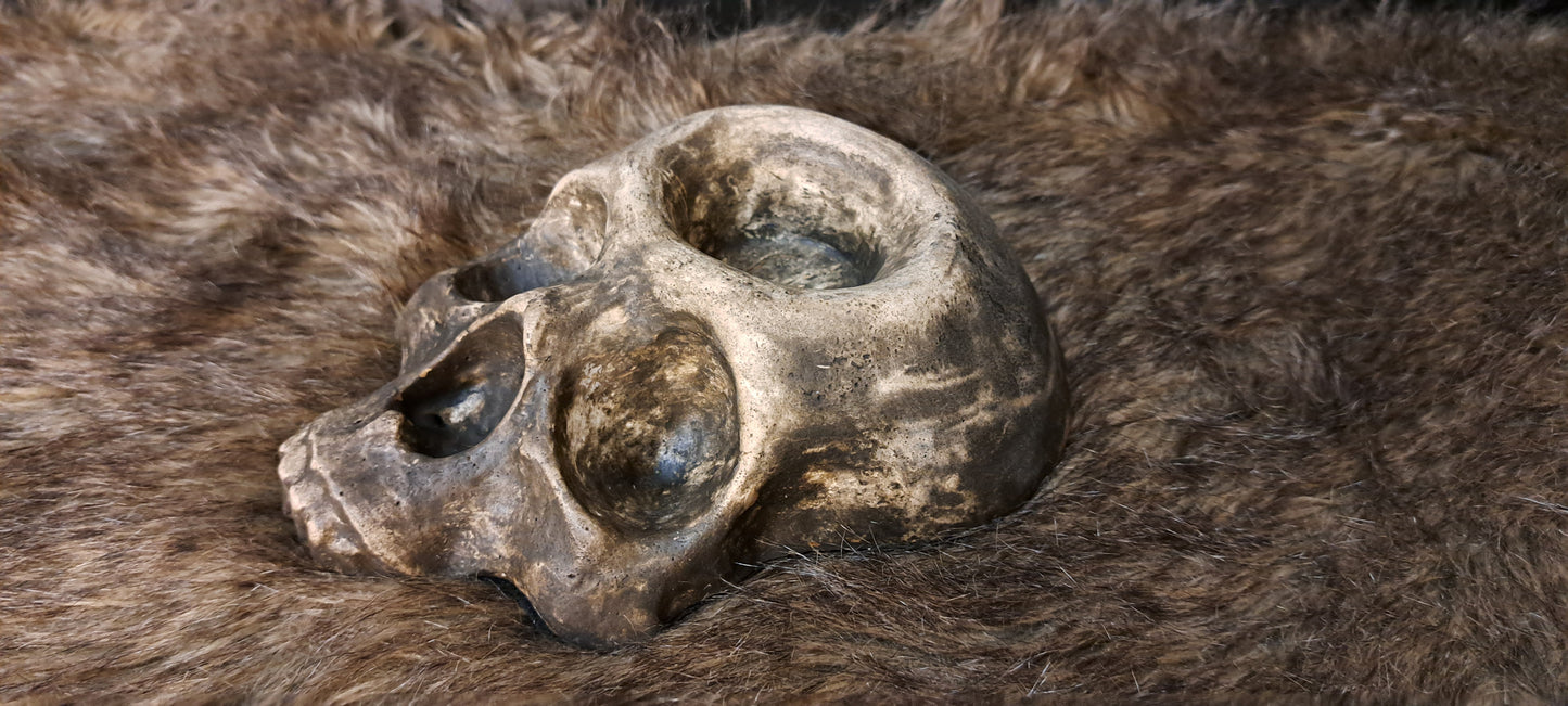 Skull