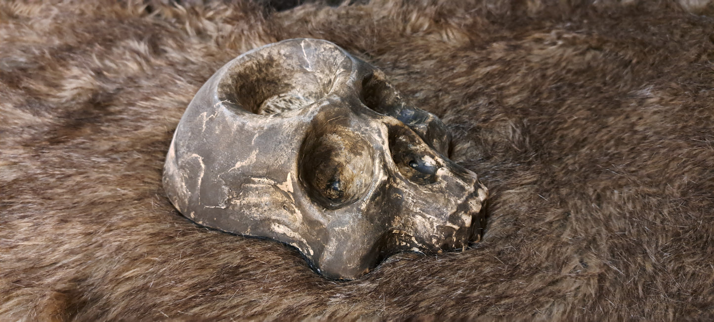 Skull