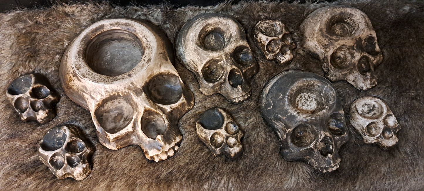 Skull