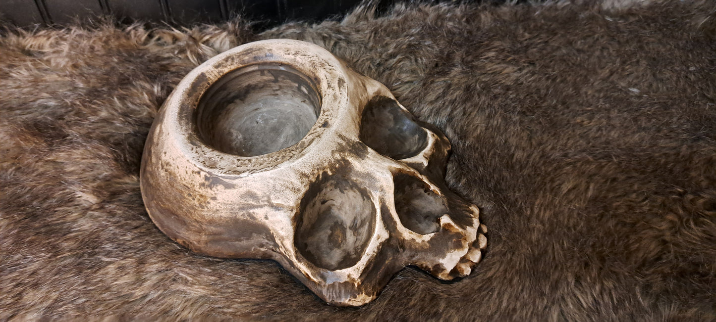 Skull