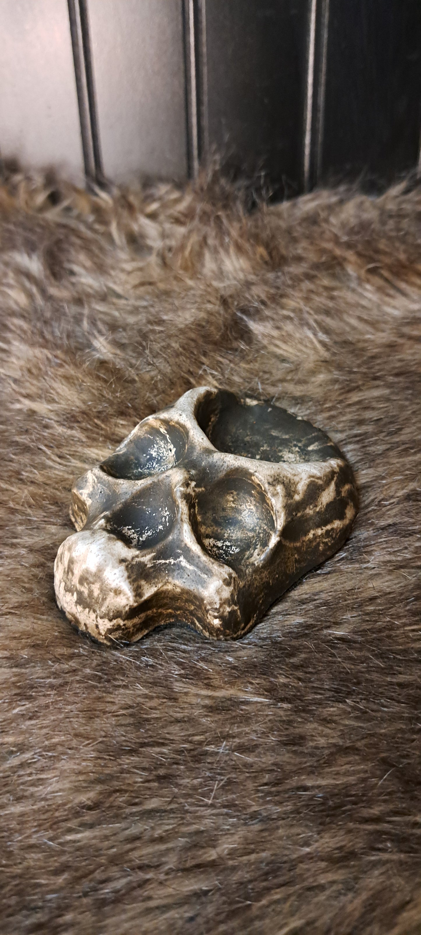 Skull