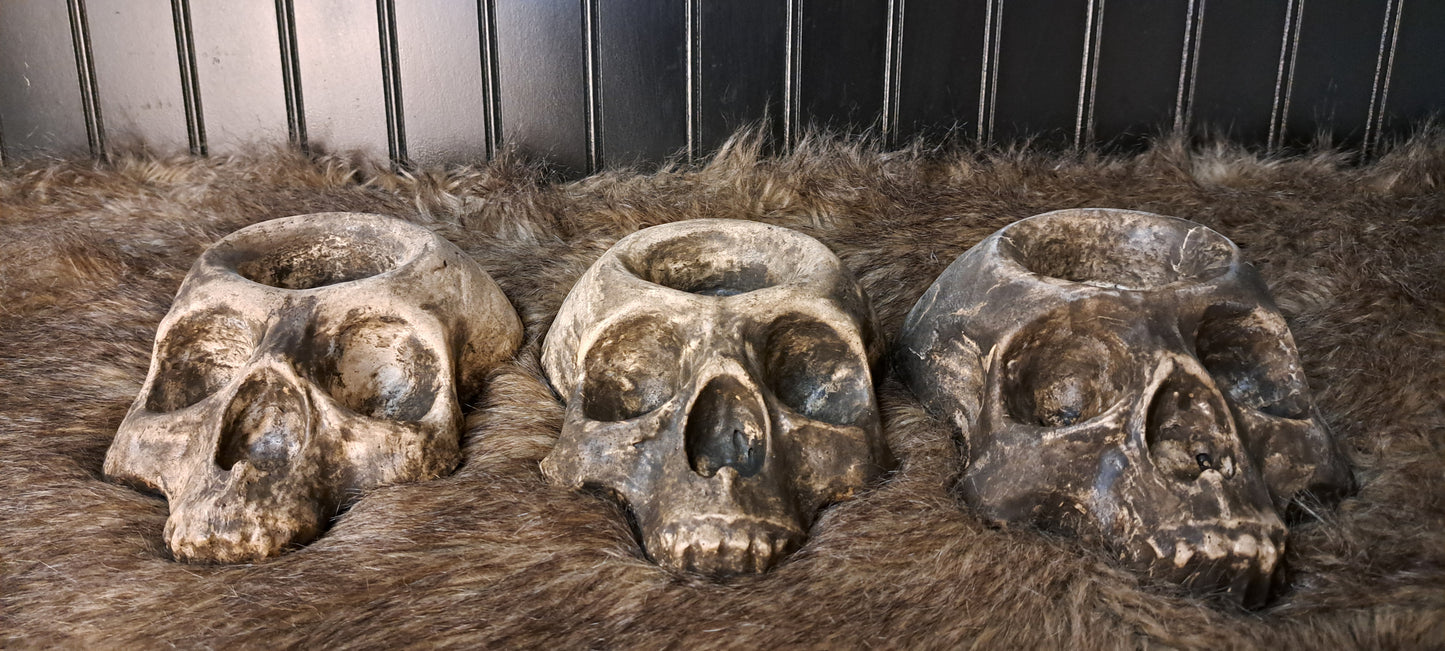 Skull